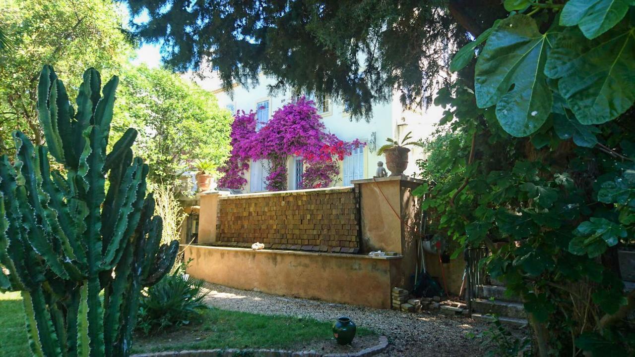 Clos Sainte Devote Cassis Extérieur photo